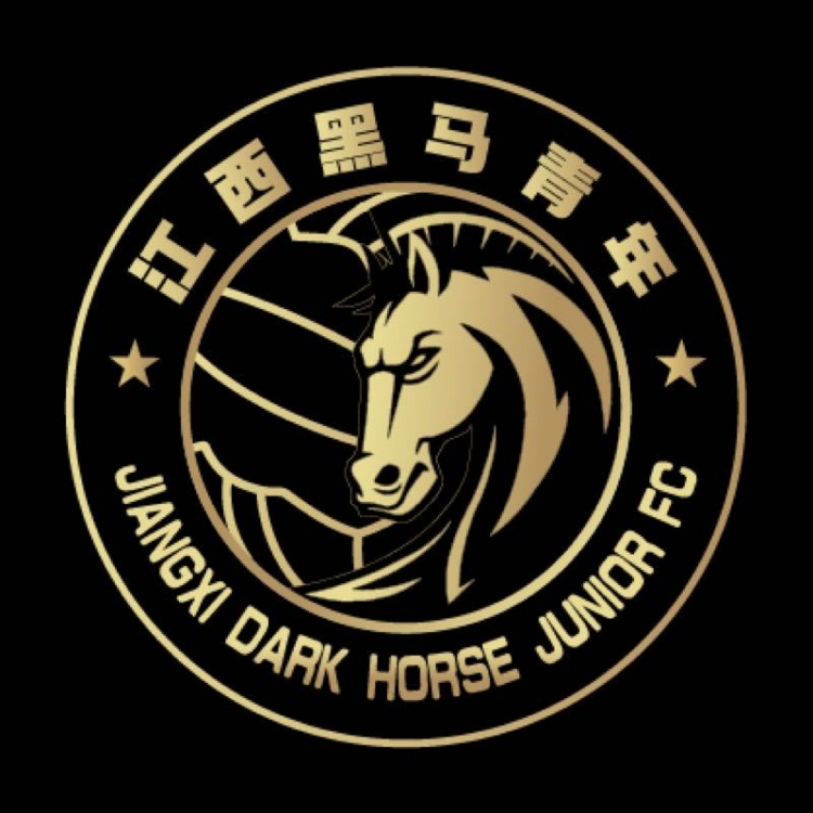  官方：江西黑馬青年完成異地遷移程序，更名為溫州職業足球俱樂部